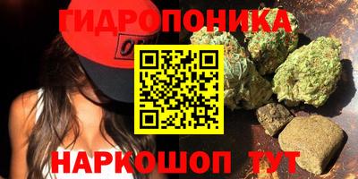 трава Аша