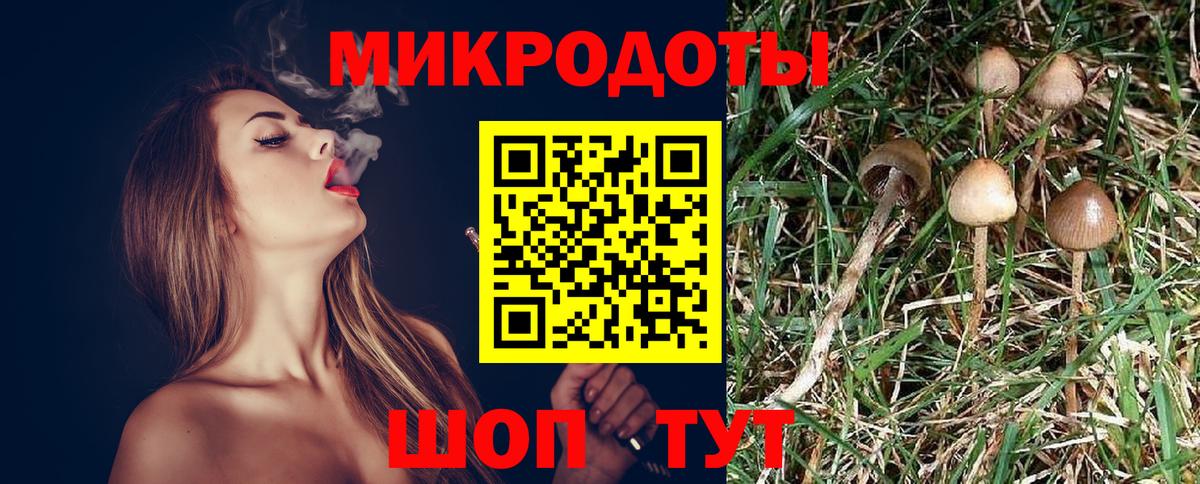 Галлюциногенные грибы Cubensis Вольск