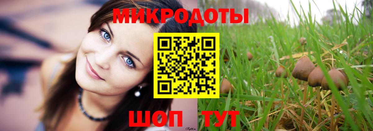 Галлюциногенные грибы MAGIC MUSHROOMS  Галлюциногенные грибы GOLDEN TEACHER  Вход с VPN  Вольск 
